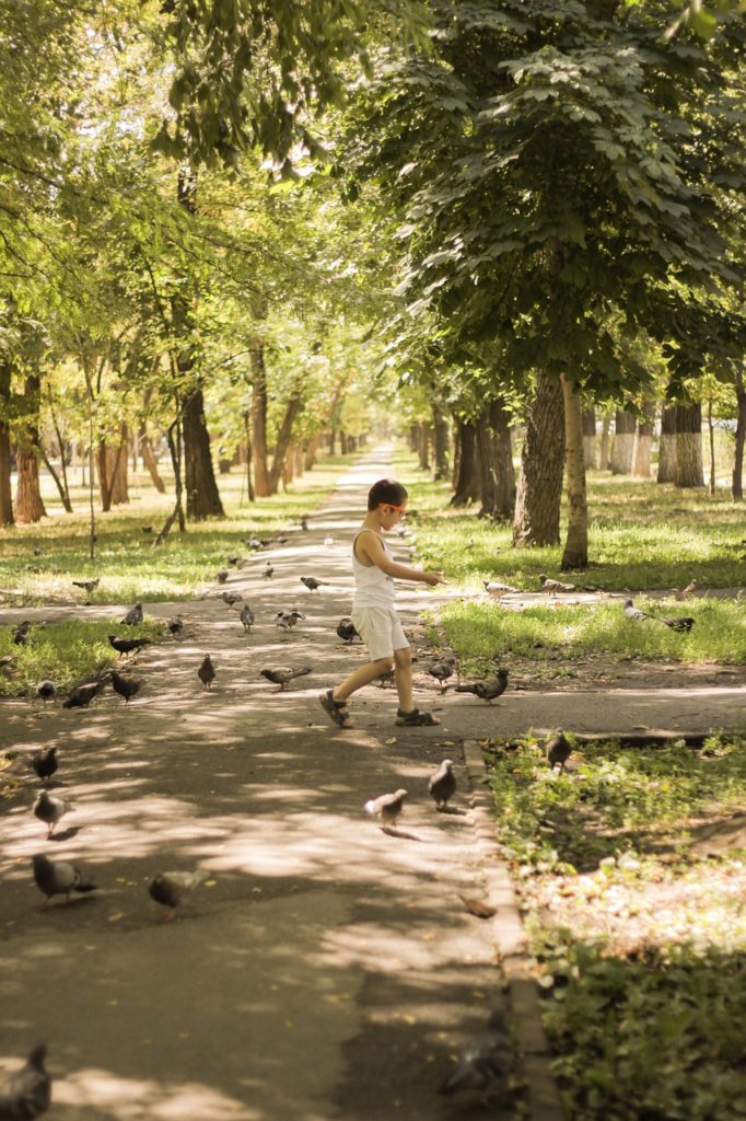 Boy Park Pigeons Kids Baby Young  - deb_qep / Pixabay